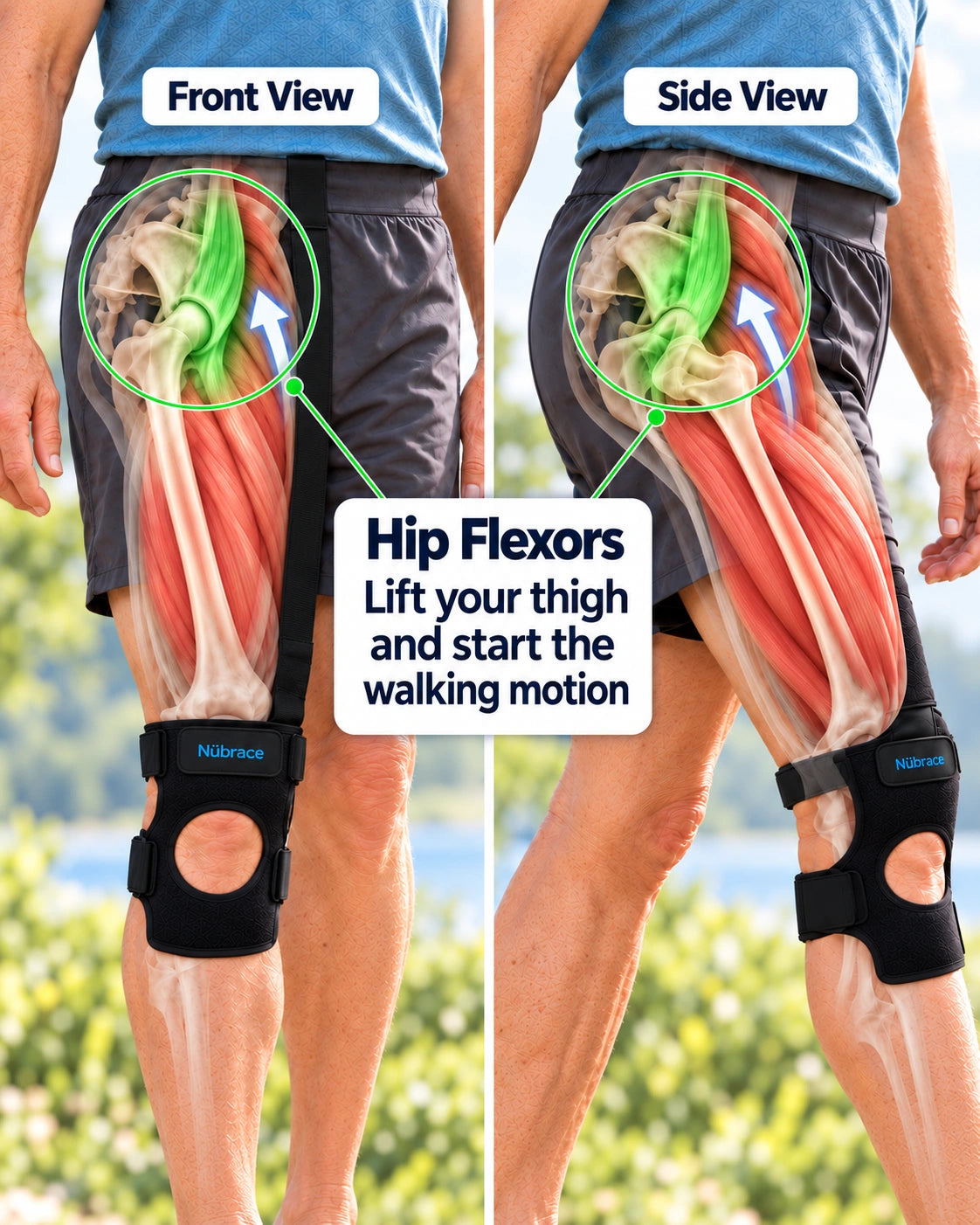 Front and side views of the hip flexors, highlighted in green