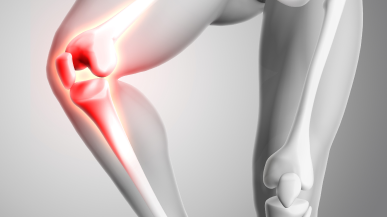 knee support